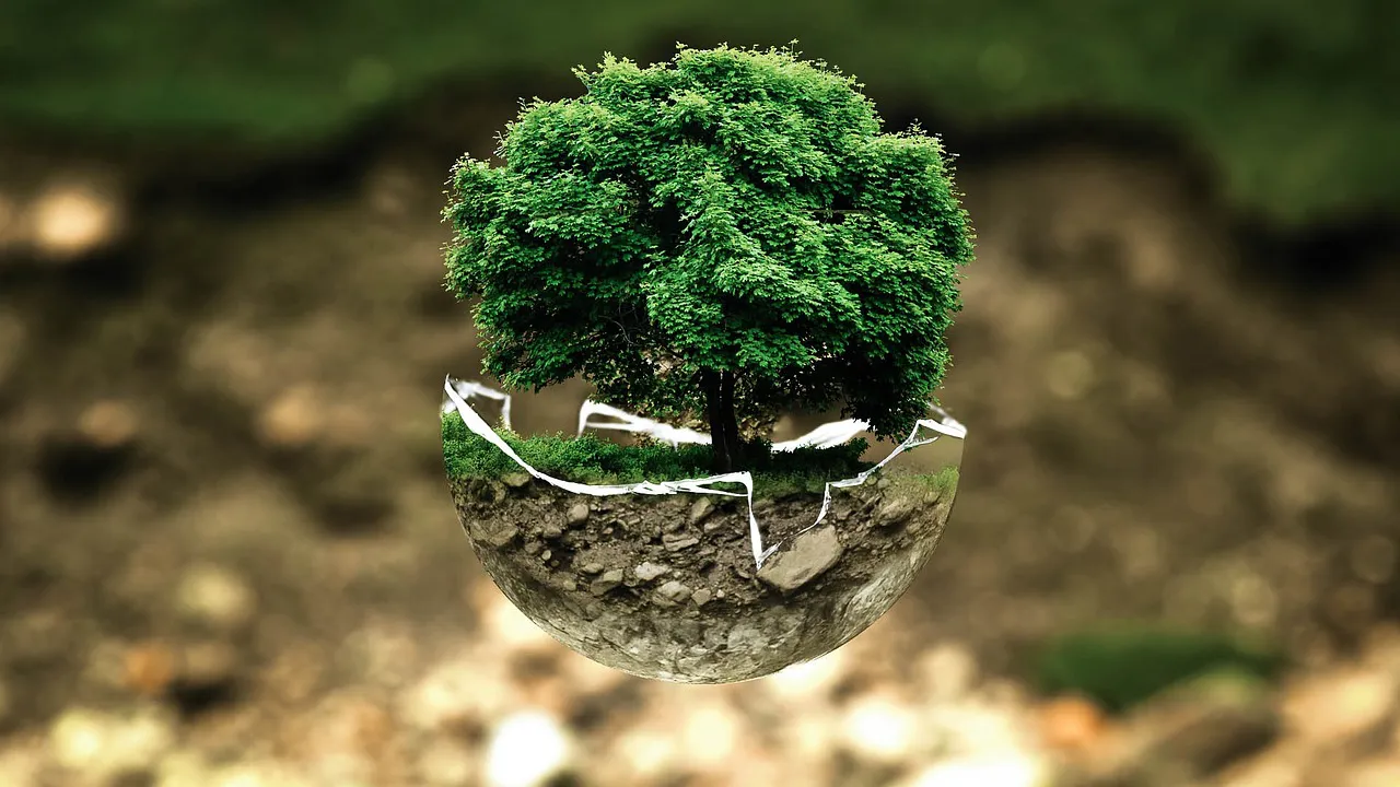 crisis ambiental