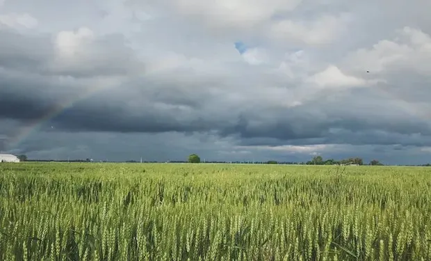 lluvia